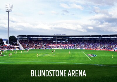 Blundstone Arena